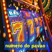 numero do pavao